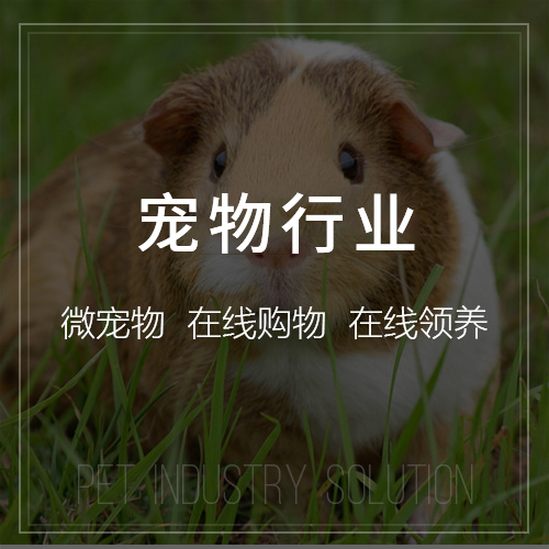 茂名ERP进销存系统与财务模块集成方案